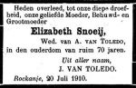 Snoeij Elisabeth-NBC-21-07-1910  (13R2 Toledo).jpg